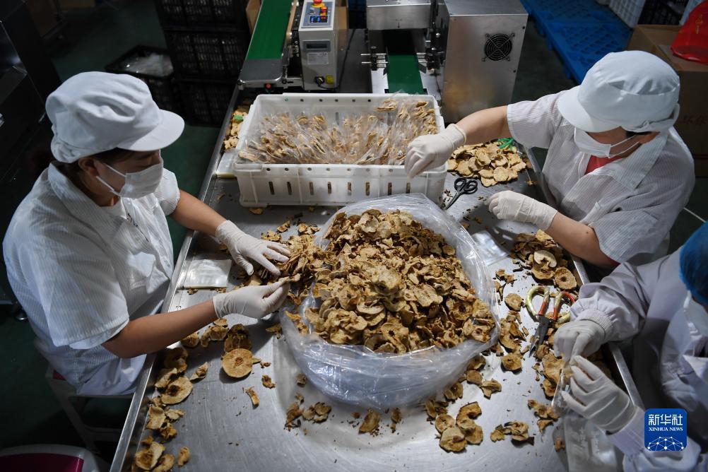 新濠天地平台